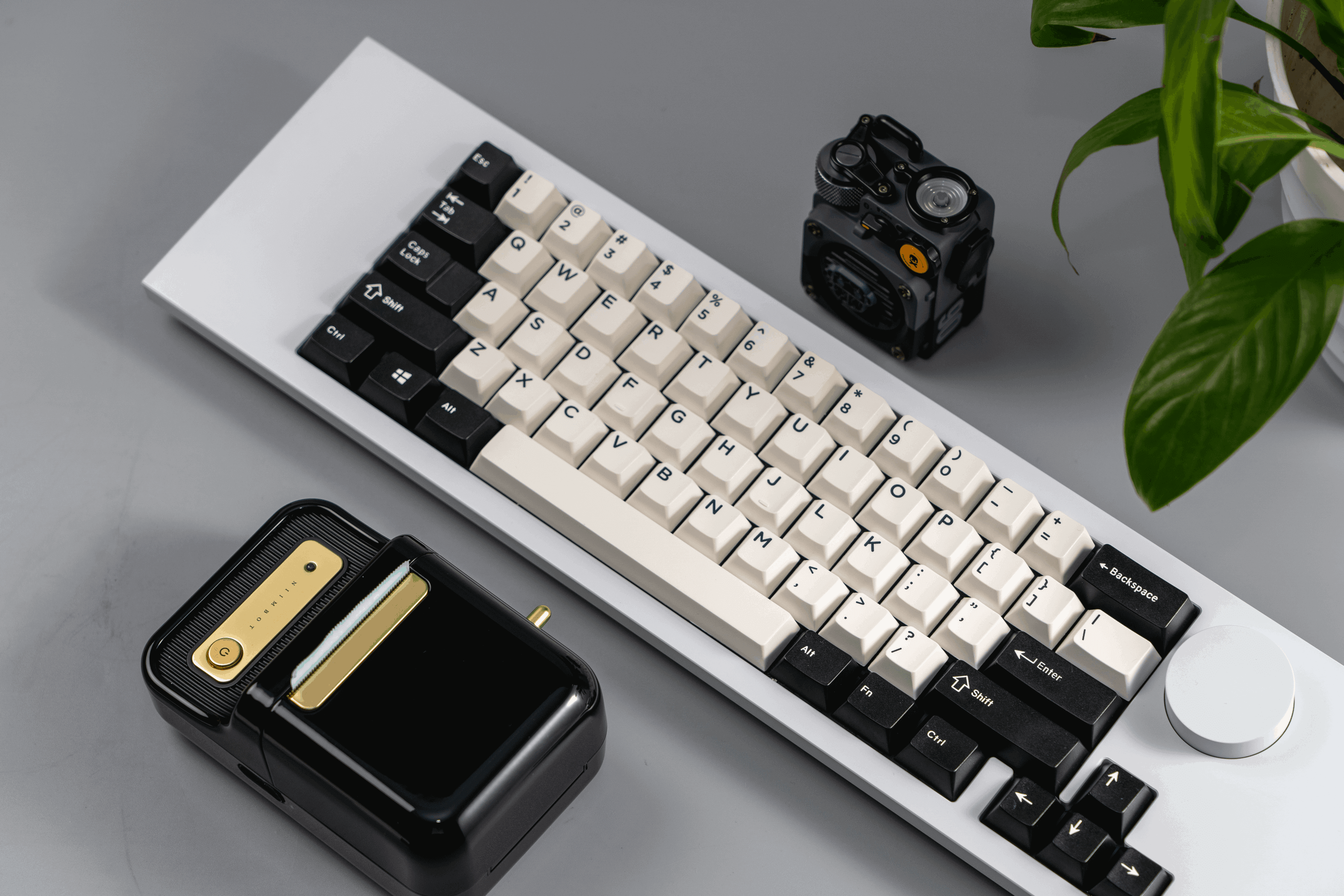 【終了】Aquila キーボードキット